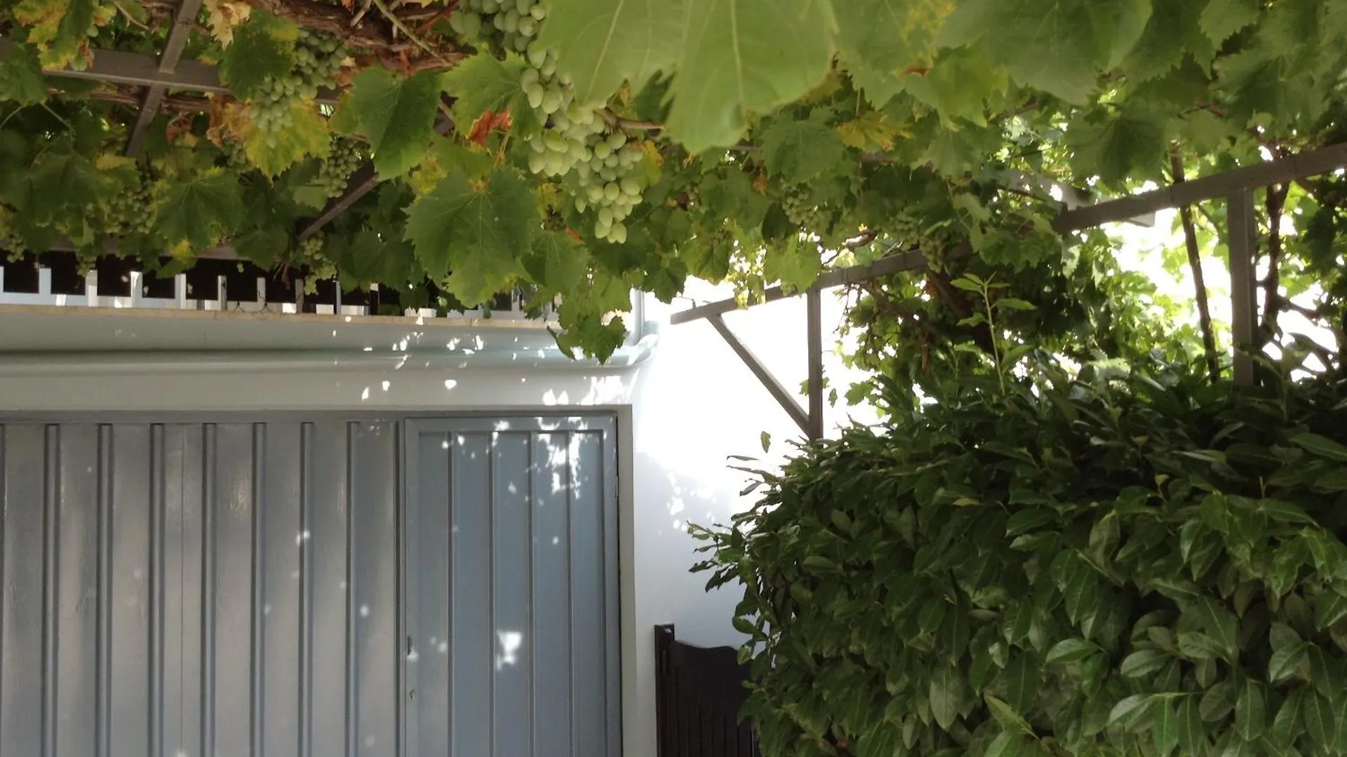 The Blue House Διαμέρισμα Vinkuran